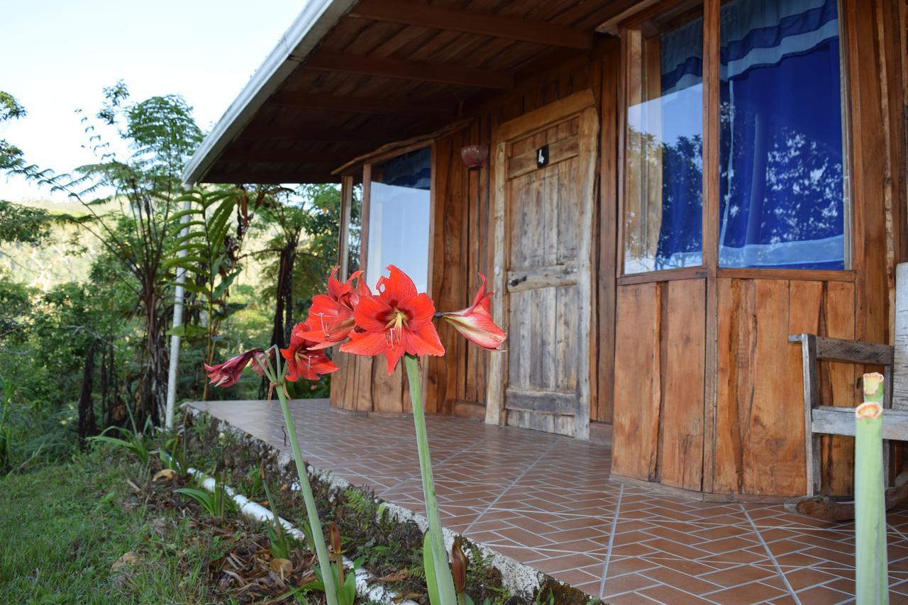 Lodge Mirador Valle Del General